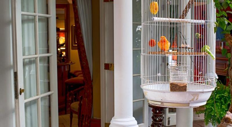 The Munro Boutique Hotel Johannesburg Bagian luar foto
